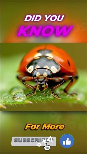 “The Ladybug’s Shocking Secret Weapon!”