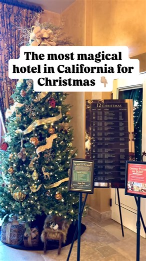 Allegretto Vineyard Resort | Christmas is coming to Allegretto, the most magical holiday hotel in California 🎄🎅 From December 20th-25th, Allegretto turns into a... | Instagram