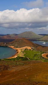 Blue-footed boobies. Marine iguanas. Giant tortoises. Step ashore into a world untouched — where rare wildlife roams freely and the experience feels entirely your own. With Silversea, you’ll explore these enchanted isles in ultra-luxury: spacious suites, personal butler service, and enriching discovery guided by experts: https://inspires.to/experiences/the-galapagos-be-part-of-a-hidden-world-dljyj | Trish Clowes - Personal Travel Manager