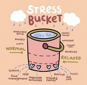 🌧️ Understanding Your Stress Bucket 🌧️ | Nicole Ponder