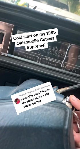 Augie Loschiavo on TikTok