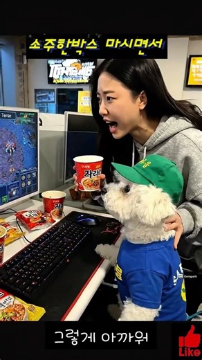 #shorts 비숑이 놀랫다 ㅋㅋㅋ