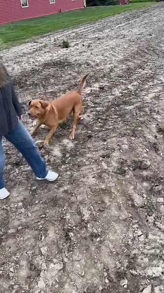 8.9K views · 105 reactions | SOMETHING SWEET ON SUNDAY: If you’re a...