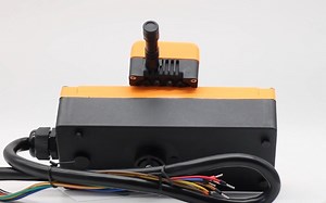 Watch creatorele 8 Key Industrial Remote Control Wireless Hoist on Amazon Live