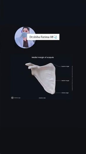 Bone scapula Anatomy structure and muscle attachment 🦴