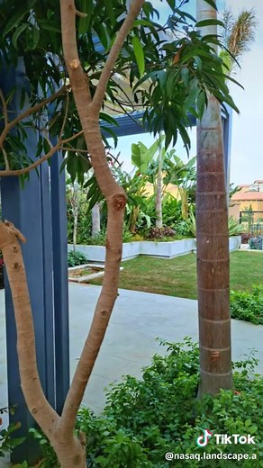 Our landscape design & built. #nasaq_landscape_architecture #landscapedesign #outdoors #pools