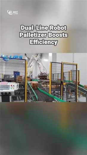 Dual-Line Robot Palletizer: Boost Efficiency with Simultaneous Handling