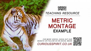 Metric Montage Example - Teaching Resource