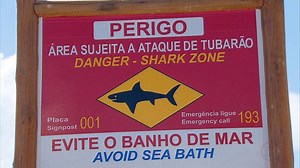 Novas placas de alerta contra ataque de tubarão começam a ser instaladas