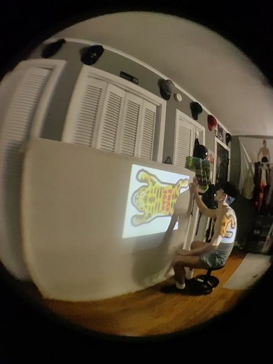 your local rug dealer