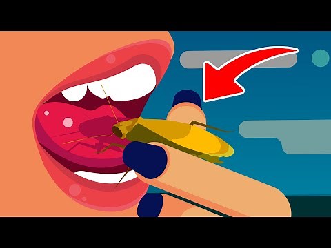 What Will We Eat In The Future?