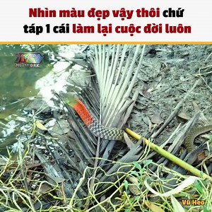 1.6M views · 6.2K reactions | Giao diện hơi giống rắn nước chứ hệ điều hành là rắn hổ nha cả nhà --- Nguồn: Vũ Heo Bản quyền được bảo vệ và quản lý bởi MCV Network #MCVNetwork #VuHeo #NWT #PNVH | Kenji P336 Band | Facebook