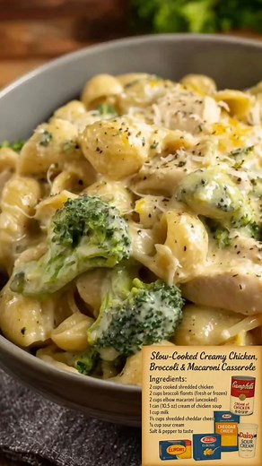 Slow-Cooked Creamy Chicken Casserole That’s a Family Favorite Tender chicken, broccoli florets, and elbow macaroni simmered low and slow in a rich, creamy cheese sauce — cozy, filling, and no oven needed. #slowcookermeals #familydinner #comfortfood #cheesecake | Easy recipes life