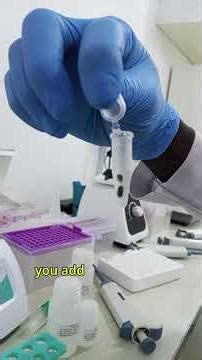 Cont... of DNA Extraction #400/500level medicallabstudents#biomedicalscientist #laboratorymedicine