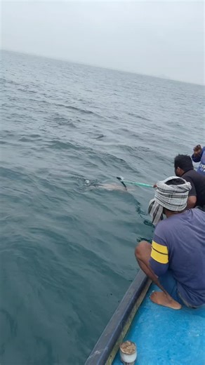 just_maari💪🖤 on Instagram: "Fishing boat engine repair..🥹🙌 🎣🐟 Live from the boat – 🎣 Not every day on the water is smooth sailing 🌊. Out in the middle of the ocean 🚤, the fish were biting, but so was the engine trouble 🔧💥. This is the raw side of fishing – unpredictable, real, and unforgettable. 🔥 Drop a 🚤 if you’ve faced struggles at sea! #OceanFishing #DeepSeaFishing #FishingLife #FishingAdventure #FishingReels #FishingVideo #FishingTrip #FishingCommunity #OutdoorAdventure #Fishin