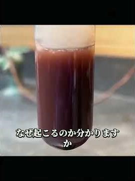 不思議な「水中稲妻」と「黒パン」の化学実験。