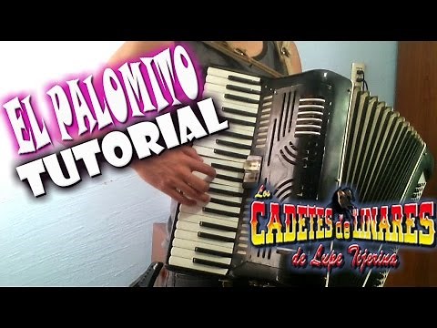 El Palomito - Tutorial Para Acordeon De Teclas - Los cadetes de linares