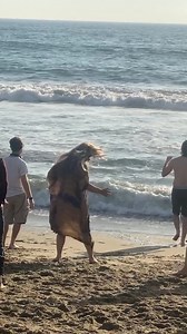 Dr. Laura Berman on Reels