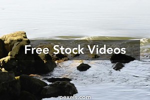 Dripping+Wet+Pussies Videos, Download The BEST Free 4k Stock Video Footage & Dripping+Wet+Pussies HD Video Clips