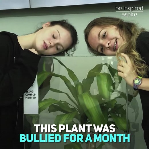 17M views · 90K reactions | This plant was bullied for a month | Be Inspired. Aspire. | Facebook
