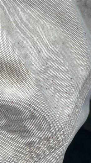 98K views · 1K reactions | Gamekeeper Tip : Seed ticks! You may have heard of them, but in case you haven’t seen them… this is seed ticks or juvenile ticks. How do the fawns make it? You know they get on em. We have seen some awful images this year. Y’all spray down. #mossyoak #gamekeeper #tick #ticks | Mossy Oak GameKeepers | Facebook