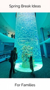 Still don’t know where to go for spring break this year? 🤔We are sharing a few of our favorite spring break spots that are perfect for families! 🌴 💦 Head to @frankenmuth to spend time at Zender’s Splash Village then explore this cute Bavarian town! 🌴 Plan an escape to the Nickelodeon Resort in Punta Cana, complete with Aqua Nick, the attached waterpark! 🏖️ Spend a few days relaxing at @margaritavilleircapcana . With a kids club, splash areas and beach, kids will love this resort as much as 