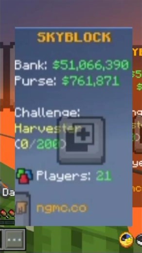 Nethergames skyblock money count 🤑🤑