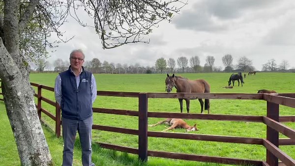 We are delighted to announce that the Irish National Stud & Gardens are re-opening to the general public from Monday the 26th of April 👏 The opening hours will be from 10:00 am – 18:00 pm during this period for 7 days a week 🐎💚 All visits must be pre-booked on our website. Season members are allowed to visit without the need to pre-book. For more information visit the link: https://irishnationalstud.digitickets.ie/tickets #openingsoon #irishnationalstudandgardens | Irish National Stud