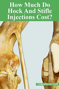 How much do hock and stifle injections cost? - TimesMojo