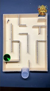 #maze #insects #centipede #race #short