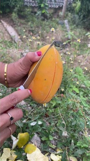Papaya Fruit #papaya