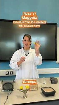 The risk assessment for the maggot practical #biology #biologyteacher #teachingcommunity #science