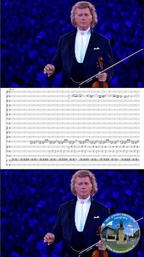 Bolero - Maurice Ravel - #shorts #orchestra #andrerieu