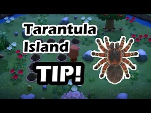 Tarantula Island TIP! Animal Crossing New Horizons