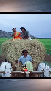 4.4K views · 173 reactions | du mai tujhe bol nishani tera pyar meri...