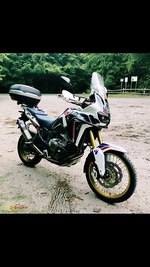 Team Xtreme on Reels