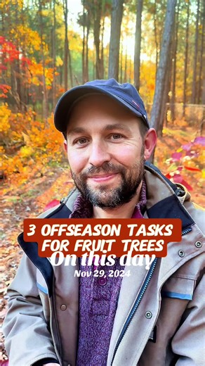 What are YOU doing to prep your fruit trees this winter? 🌳❄️ Fruit tree season might be over, but the work that builds next year’s harvest starts now! 🍑✨ Mulch in the fall to mimic Mother Nature 🍂, prune in winter for better airflow and sunlight ✂️🌞, and start planning those bare root buys before spring shows up 🌱🤩 Tell me your winter orchard tasks in the comments! 👇 #fruittrees #backyardorchard #wintergardening #mulching #tiktokencyclopediacontest
