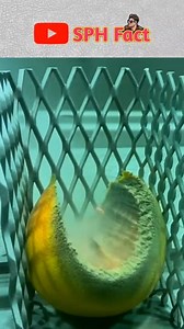 Information About Sand Blaster Machine. #reelsfb #reelsinstagram #factsyoudidntknow #stangefact #facts #factsdaily | SPH Fact