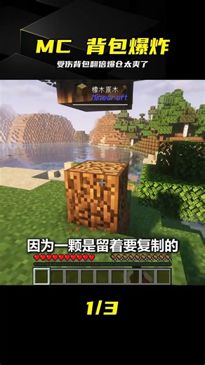Injured backpack doubles items instantly? Everything everywhere is so satisfying #Minecraft #Surv...