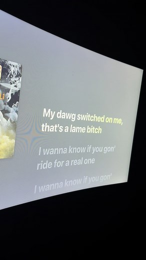 Bravo the Bagchaser: Life and Lyrics Unpacked