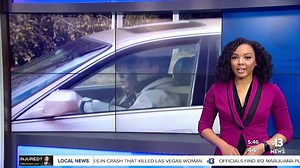 Teen driver safety guide released for parents