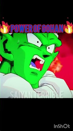 Gohan the strongest boxer