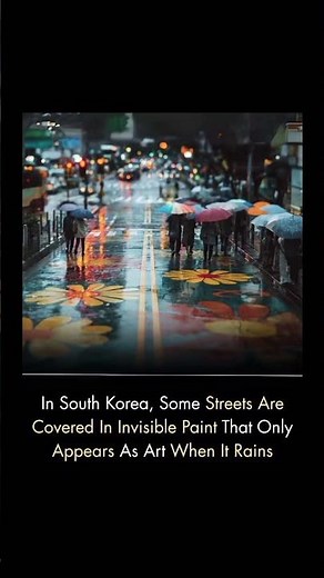 Rain reveals hidden art on South Korean streets — invisible by day, magical when wet 🌧️🎨