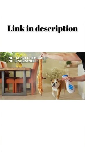 Pooph® Pet Odor Eliminator Safe, Organic & Fast Acting Odor Remover for Home, Car & Furniture