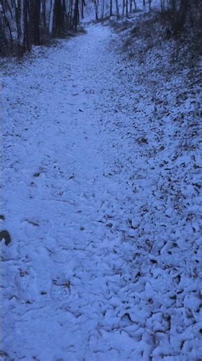 자연5십이월05 첫눈산길~~ #초겨울 #첫눈 #늦가을 #낙엽 #산 #나무 #귀거래사 #김신우