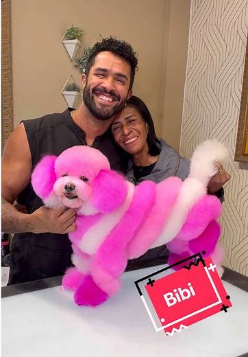 Bibi's Stunning Pink Dog Grooming Transformation
