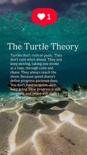 Hawaii Ocean Sports on Reels