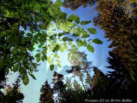 Poeme von Zdenek Fibich