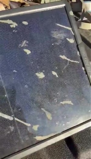 HOW EFFICIENT ARE HERD 360 SOLAR PANELS? We receive reviews and testimonials from across the country—but this one genuinely stopped us in our tracks. #herd360 #trailcam #solarpanel | Herd 360