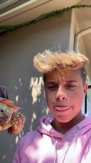 Interacting with a Playful Tortoise Outdoors